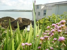 Spring flowers & sea