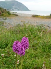 the beach at Dwygyfylchi