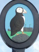 Puffin trips from Beaumaris